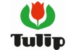 Strick &amp; Haekelnadeln von Tulip - Japanische Praezision